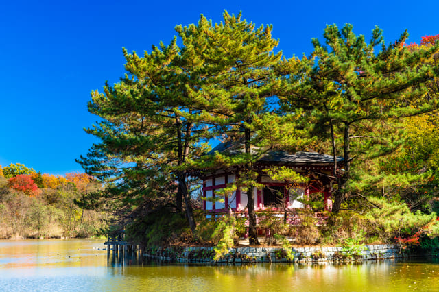 石神井公園