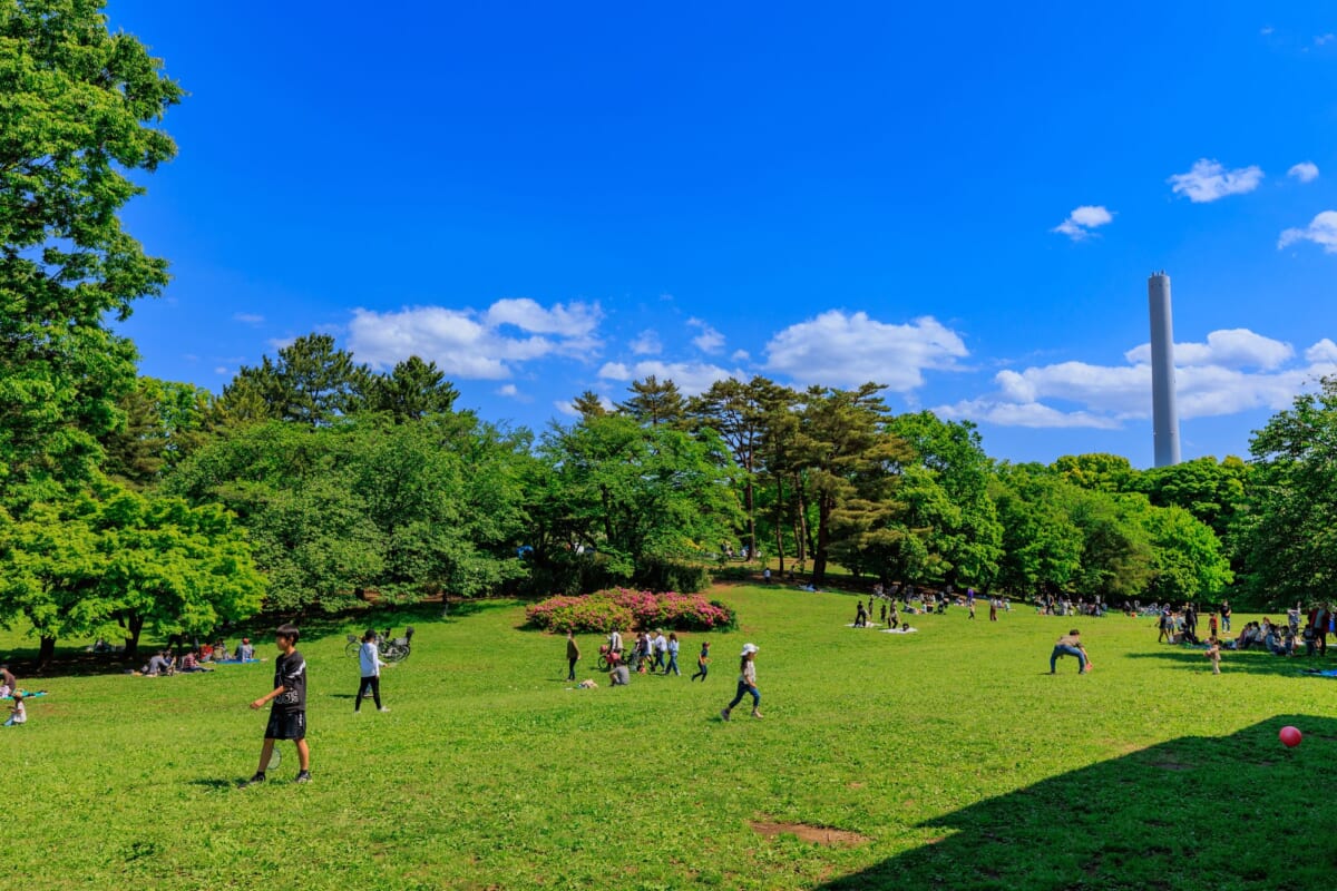 光が丘公園